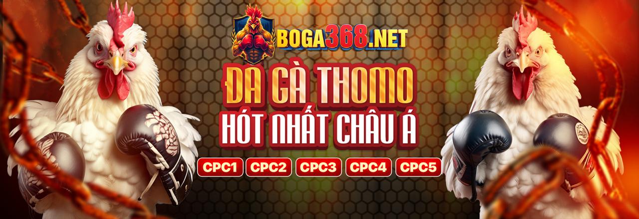 Mẹo cá cược đá gà SV388 hiệu quả